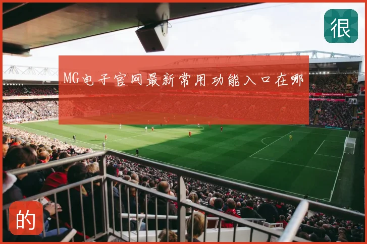 MG电子官网最新常用功能入口在哪